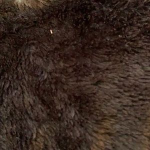 Meet your Posher, Monica